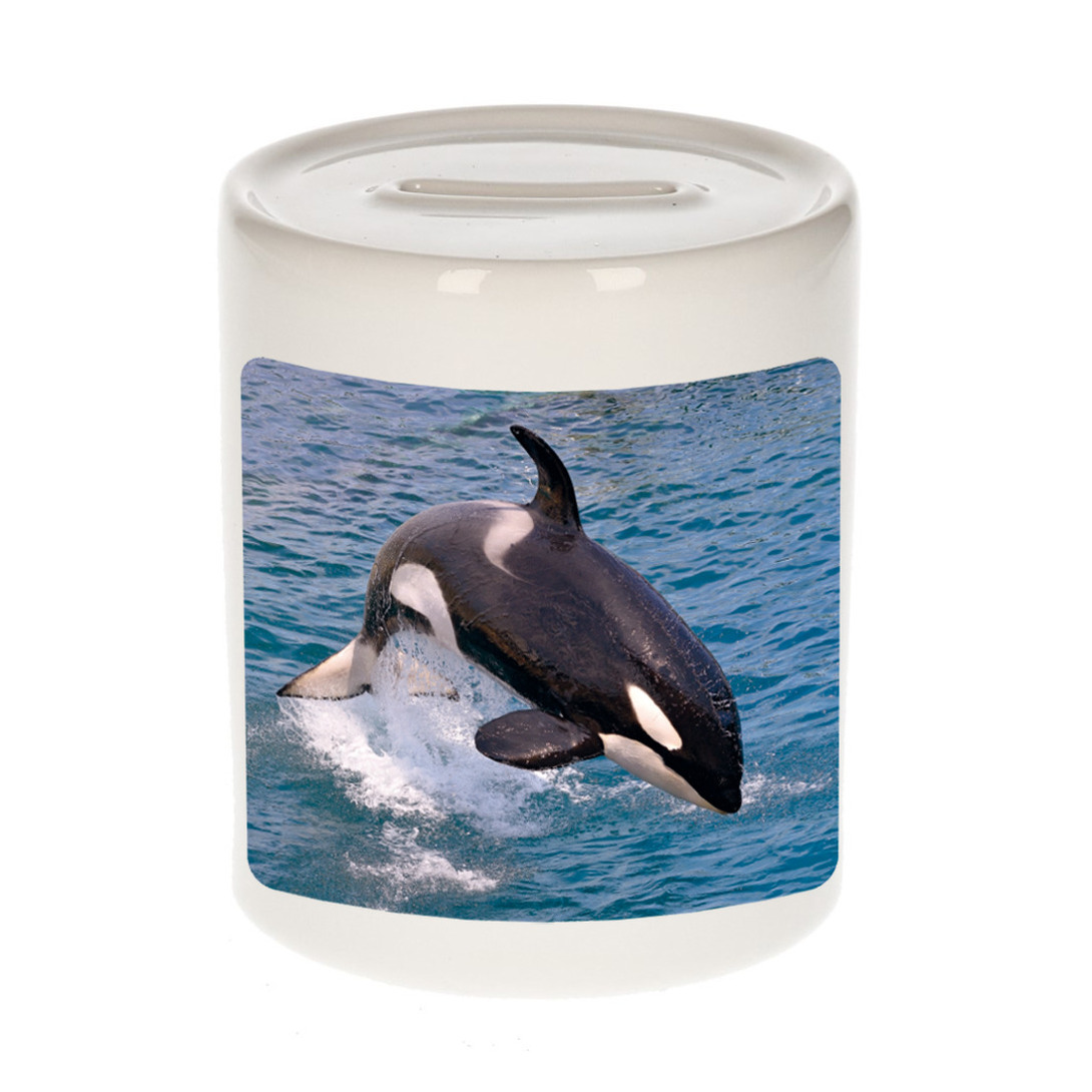 Foto grote orka spaarpot 9 cm - Cadeau orka walvissen liefhebber