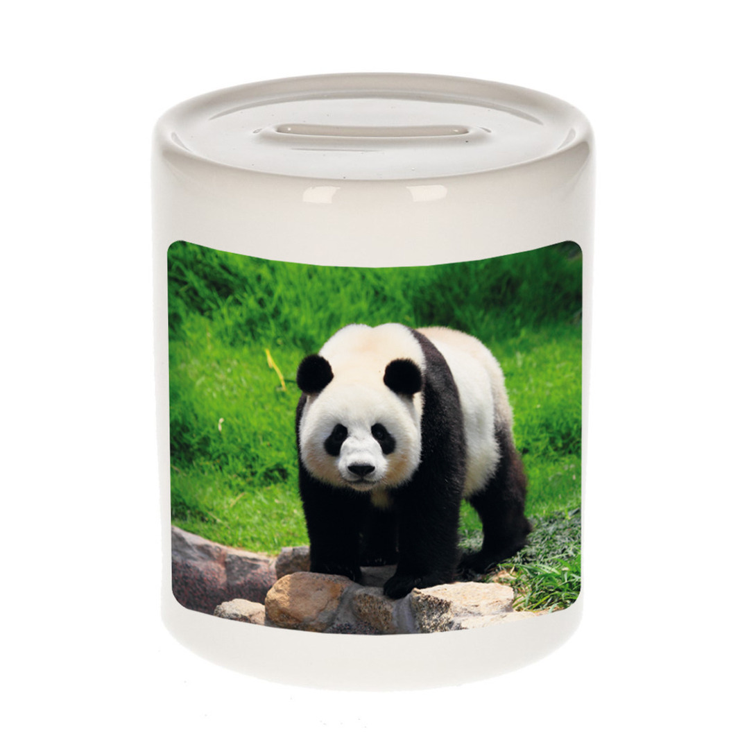 Foto grote panda spaarpot 9 cm - Cadeau pandaberen liefhebber