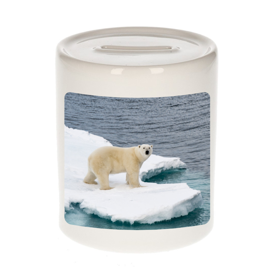Foto ijsbeer spaarpot 9 cm - Cadeau ijsberen liefhebber