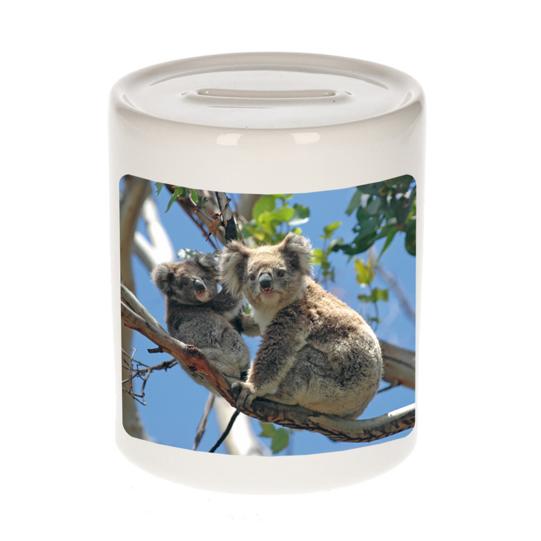 Foto koala beer spaarpot 9 cm - Cadeau koalaberen liefhebber