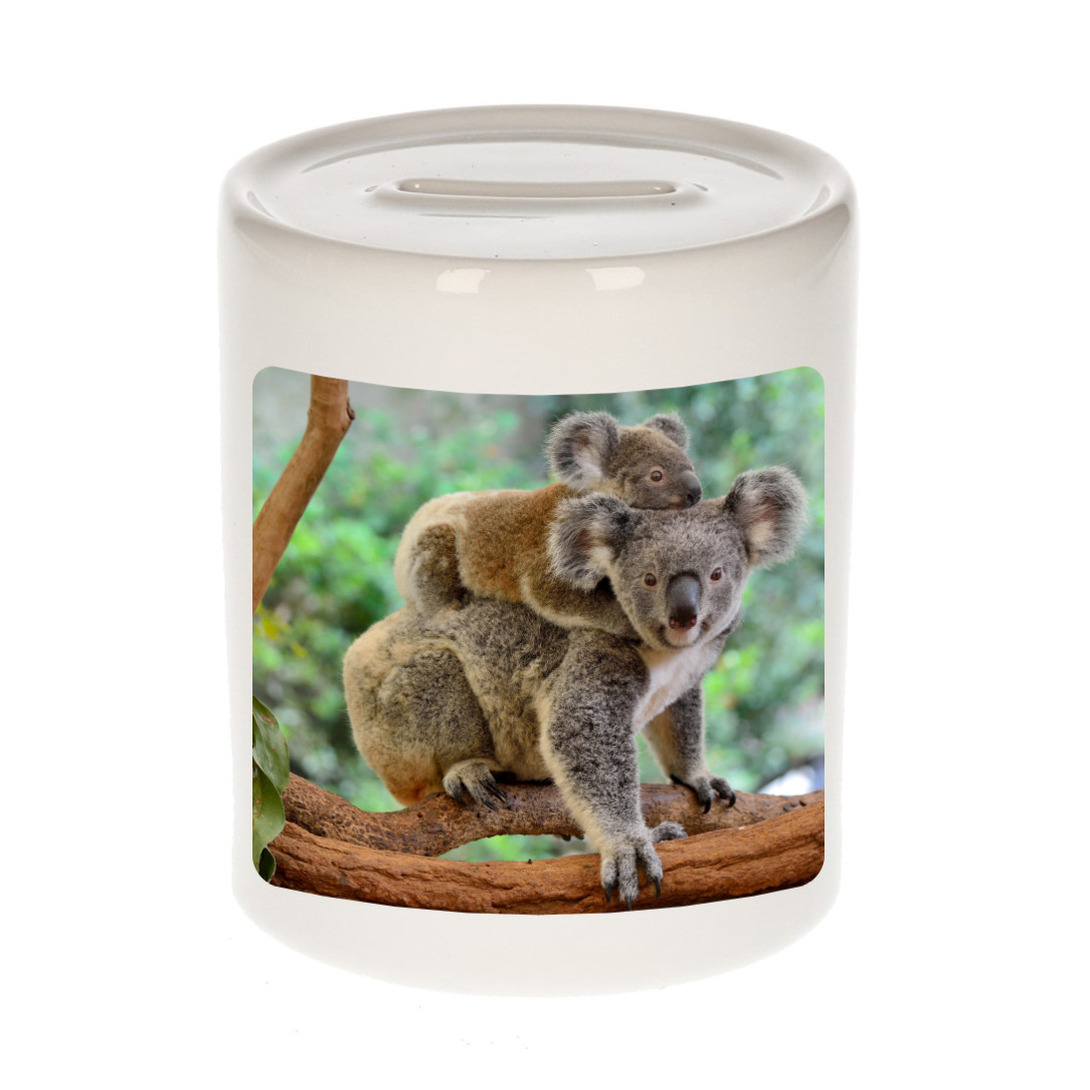 Foto koala spaarpot 9 cm - Cadeau koalaberen liefhebber