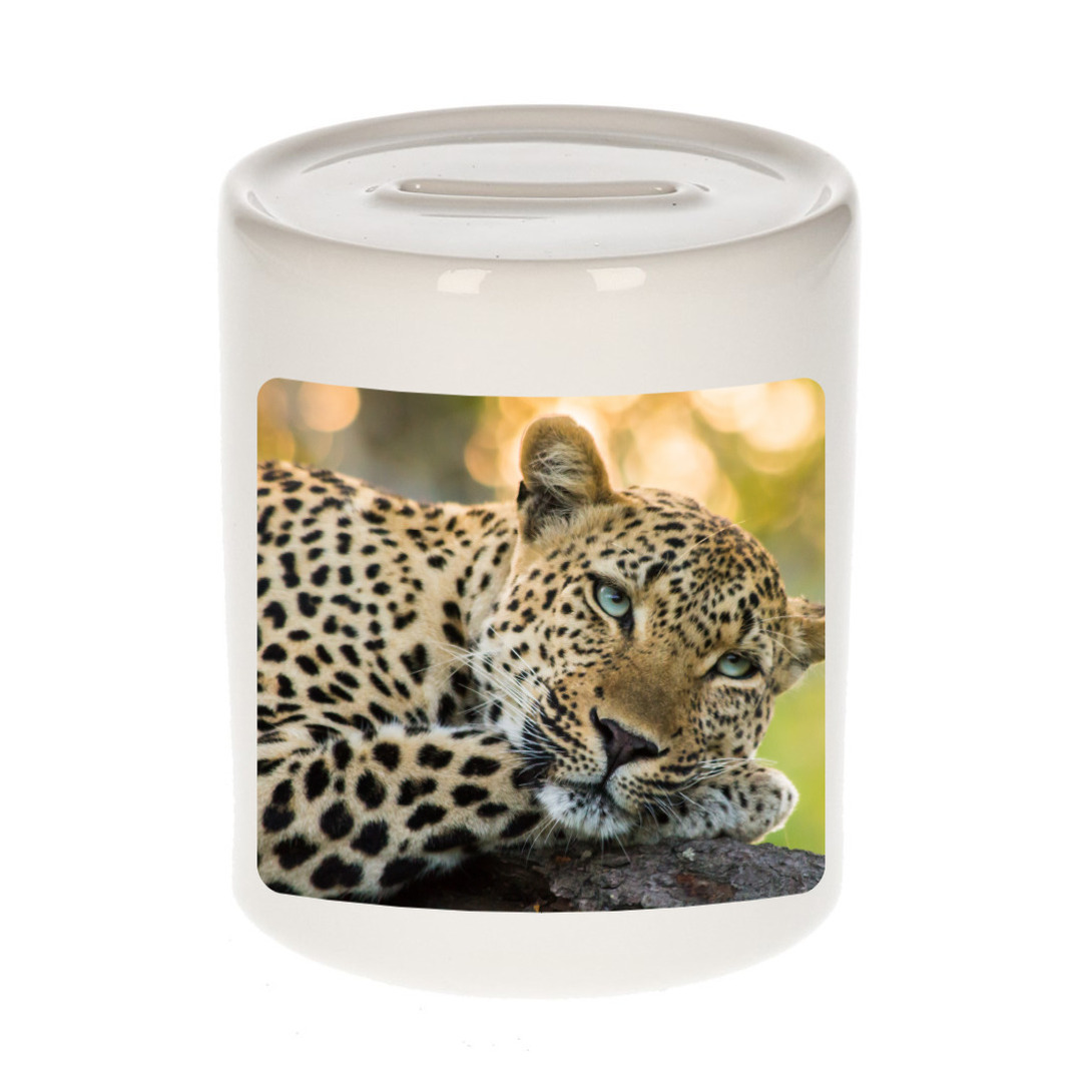 Foto luipaard spaarpot 9 cm - Cadeau jaguars/ luipaarden liefhebber