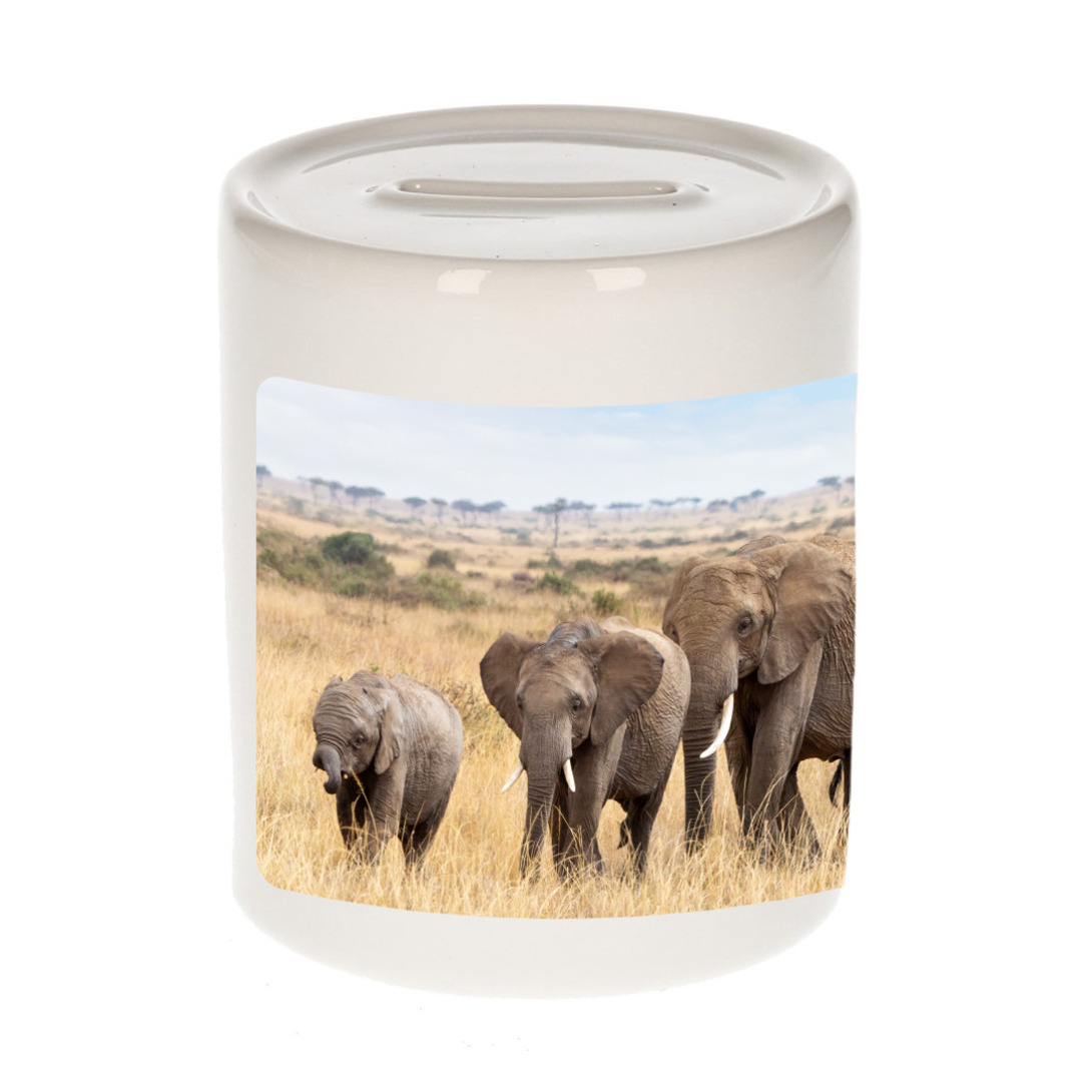 Foto olifant spaarpot 9 cm - Cadeau olifanten kudde liefhebber