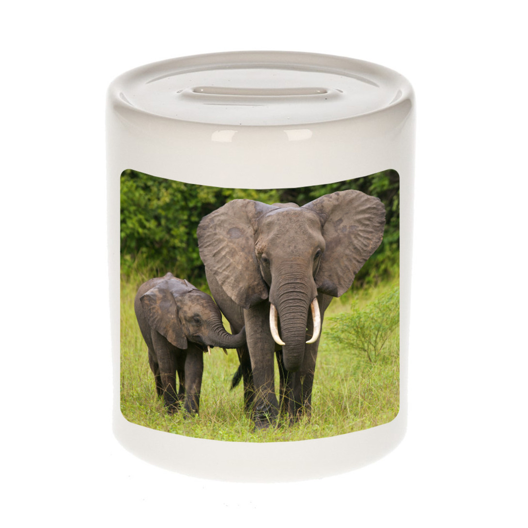 Foto olifant spaarpot 9 cm - Cadeau olifanten liefhebber