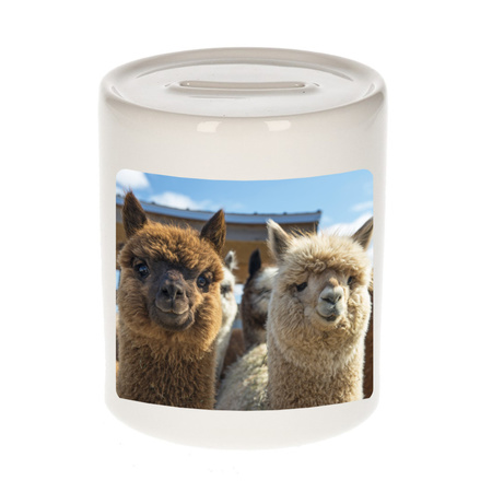 Animal photo money box alpacas