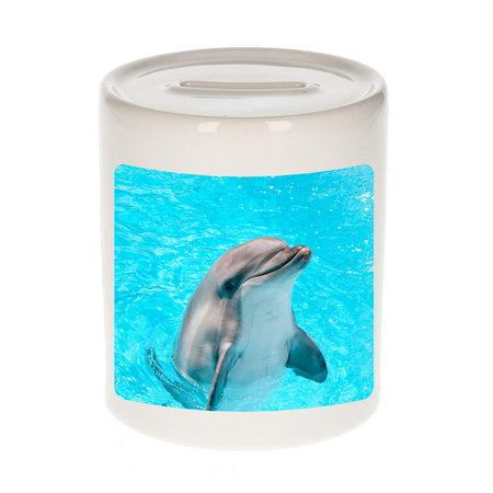 Animal photo money box dolphins