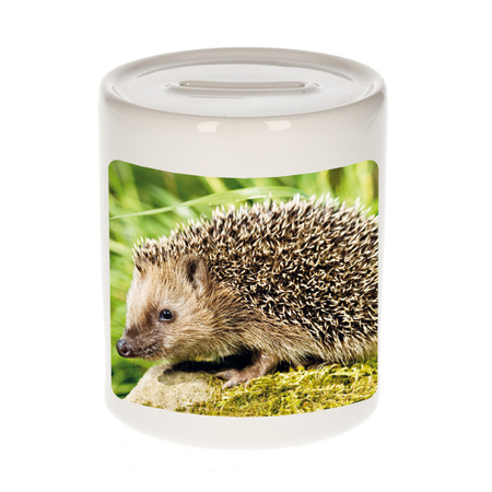 Animal photo money box hedgehogs