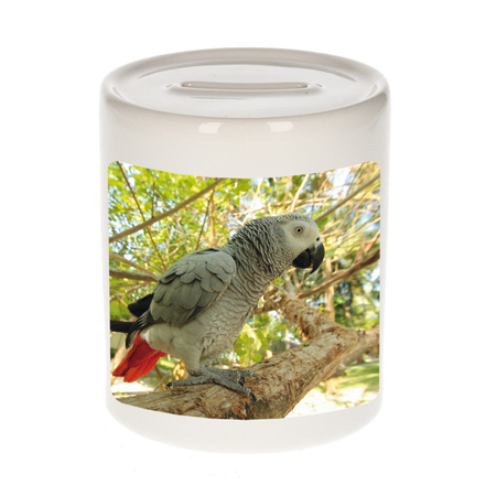 Animal photo money box parrots