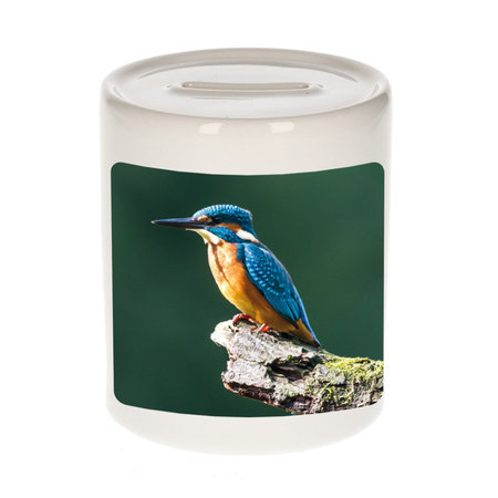 Animal photo money box kingfisher birds