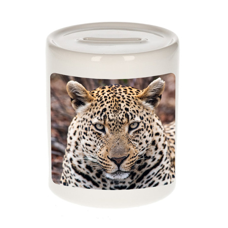 Foto jaguar spaarpot 9 cm - Cadeau jaguars liefhebber