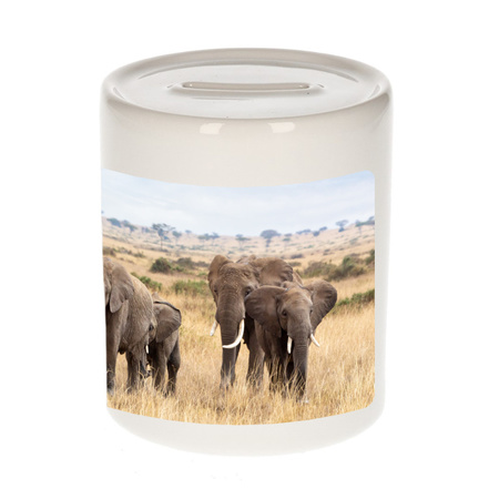 Foto olifant spaarpot 9 cm - Cadeau olifanten kudde liefhebber