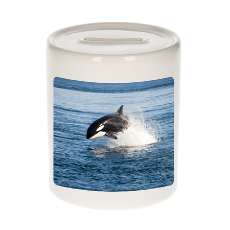 Foto orka spaarpot 9 cm - Cadeau orka vissen liefhebber