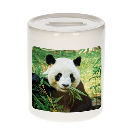 Animal photo money box panda bears