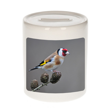 Animal photo money box goldfinch birds