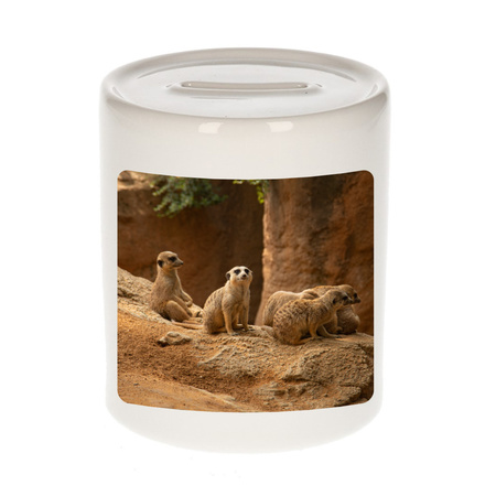 Animal photo money box meerkats