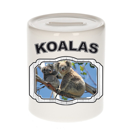 Animal koala bear money box white 300 ml